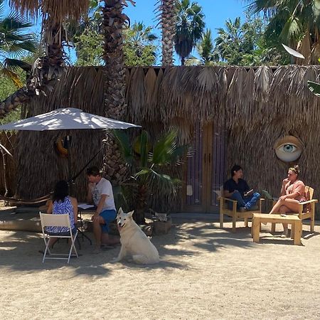 Auberge de jeunesse La Sardina à Todos Santos Extérieur photo
