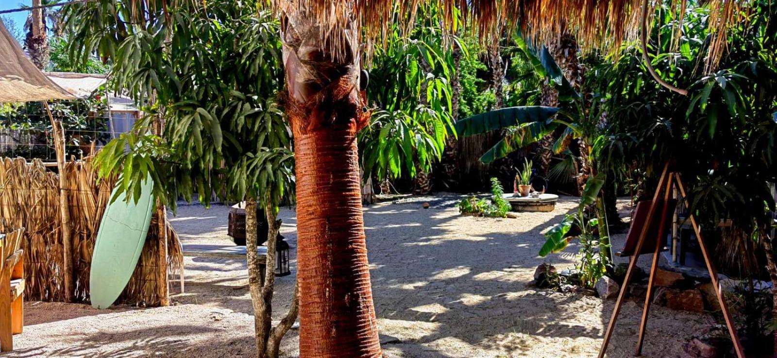 Auberge de jeunesse La Sardina à Todos Santos Extérieur photo